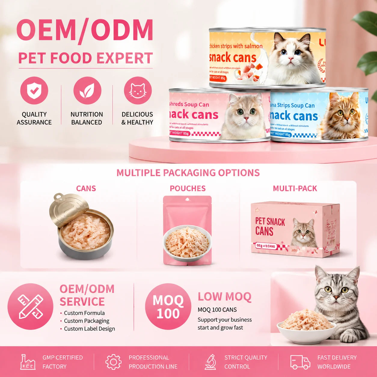 Wet Cat Food Soup
