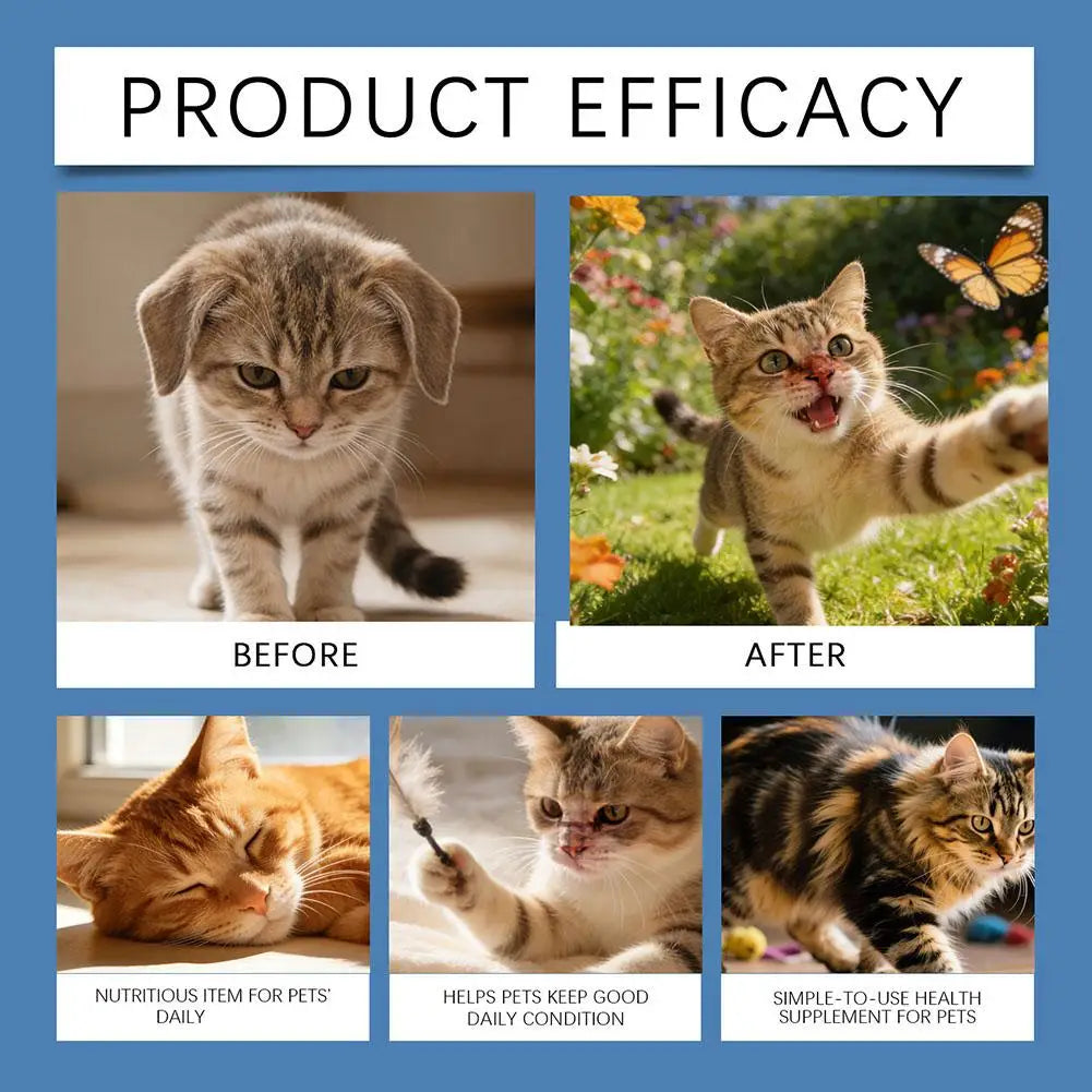Taurine Powder for Cats
