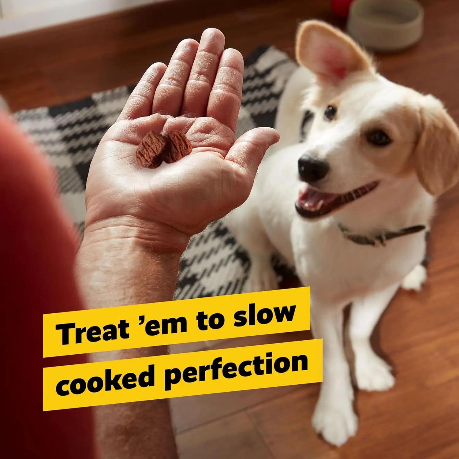 Beef Jerky Dog Training Treats
