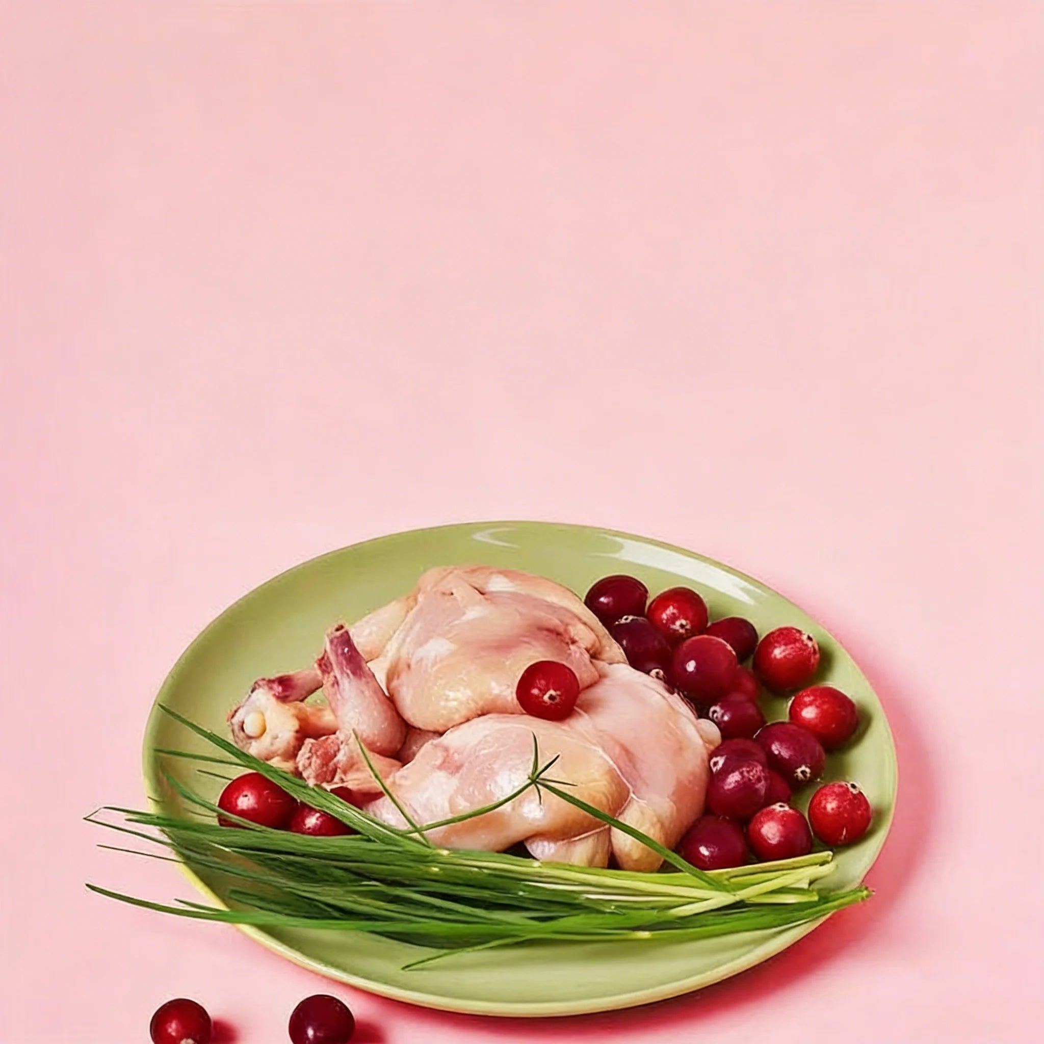 Hamster Cranberry Beef Liver Treats