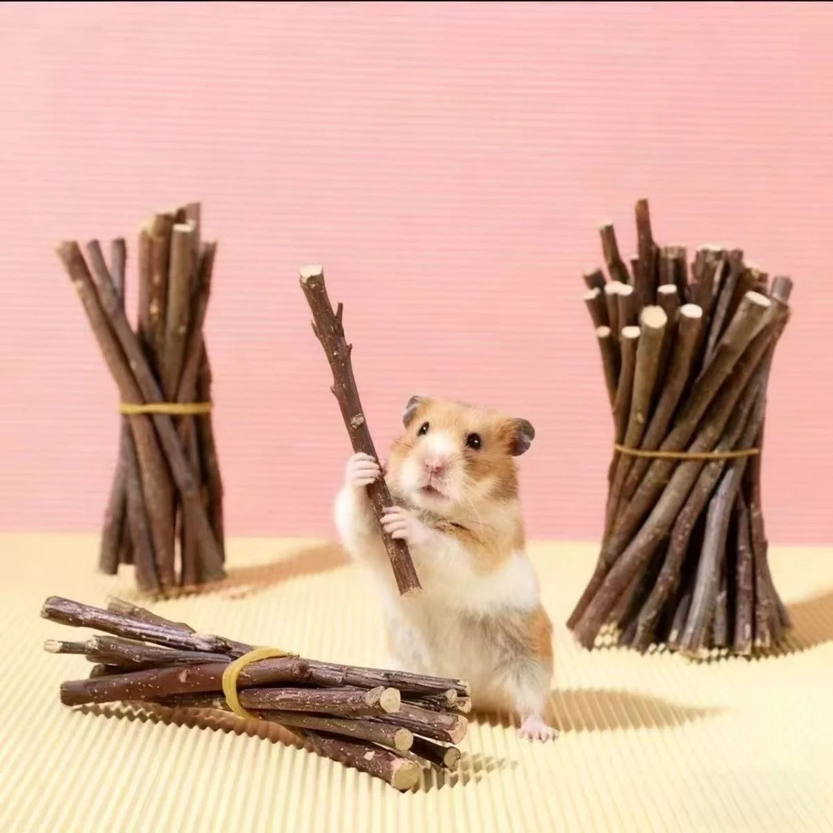 Hamster Cranberry Beef Liver Treats