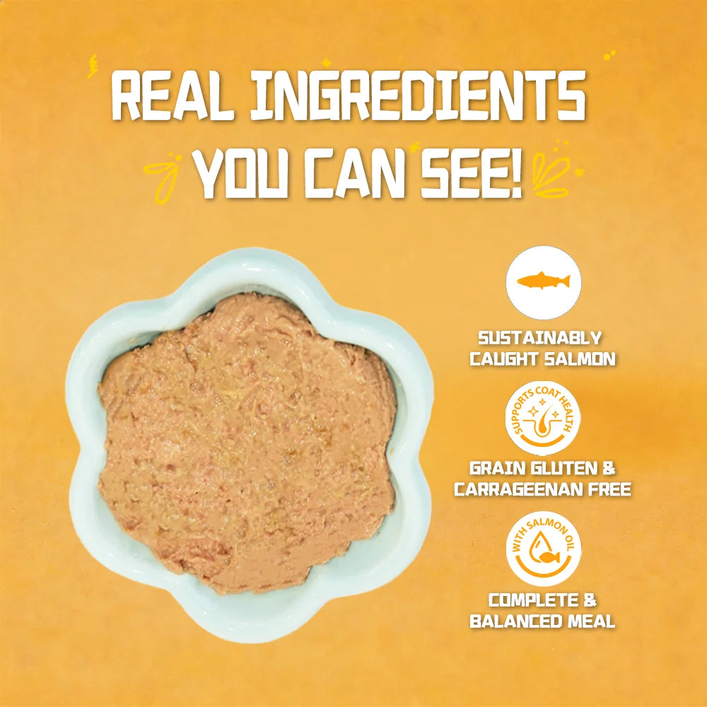 Tuna Beef Salmon Cat Food