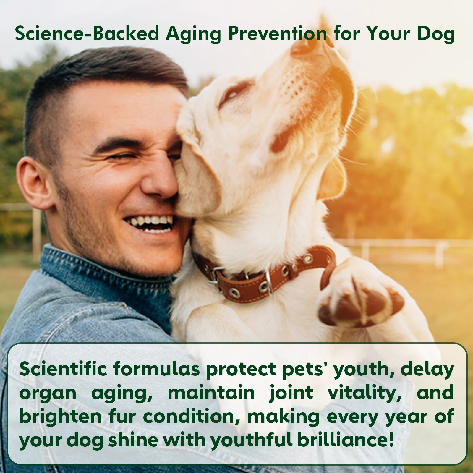 Senior Dog Vitamin Chews