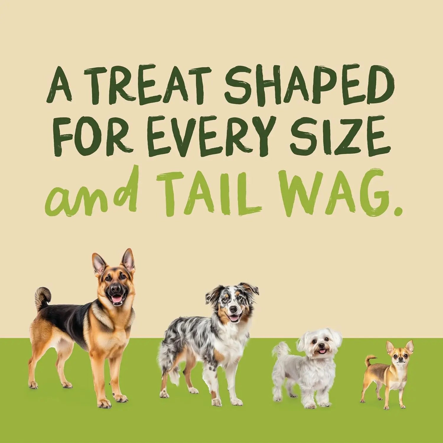 Beef Jerky Dog Training Treats