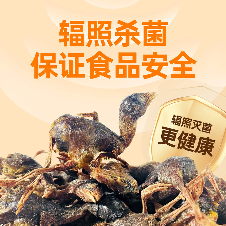 Freeze-Dried Quail Cat Treats