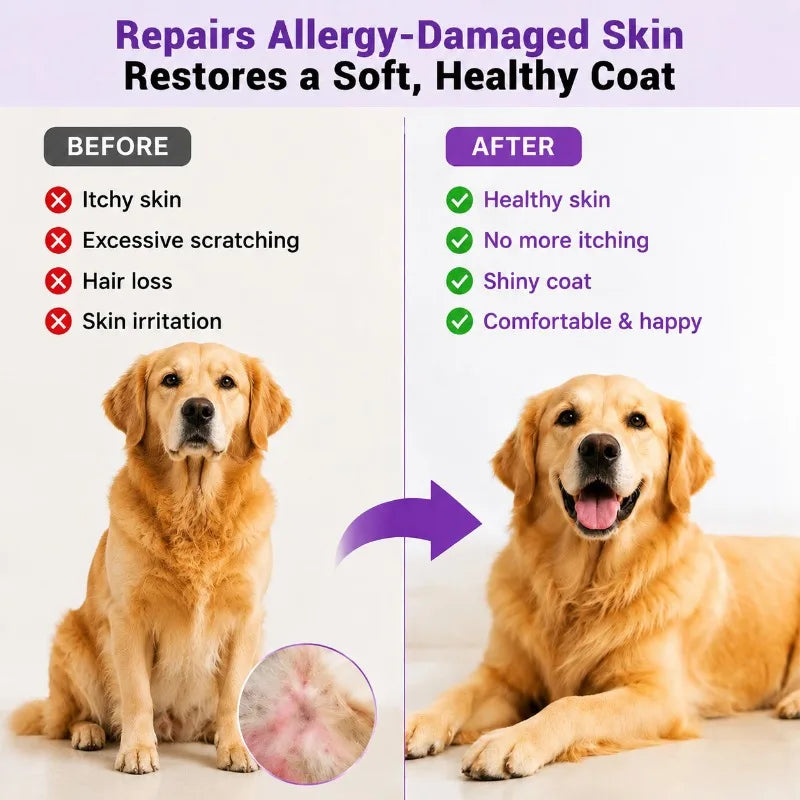 Dog Cat Allergy Support Chews