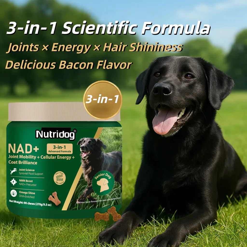 Senior Dog Vitamin Chews