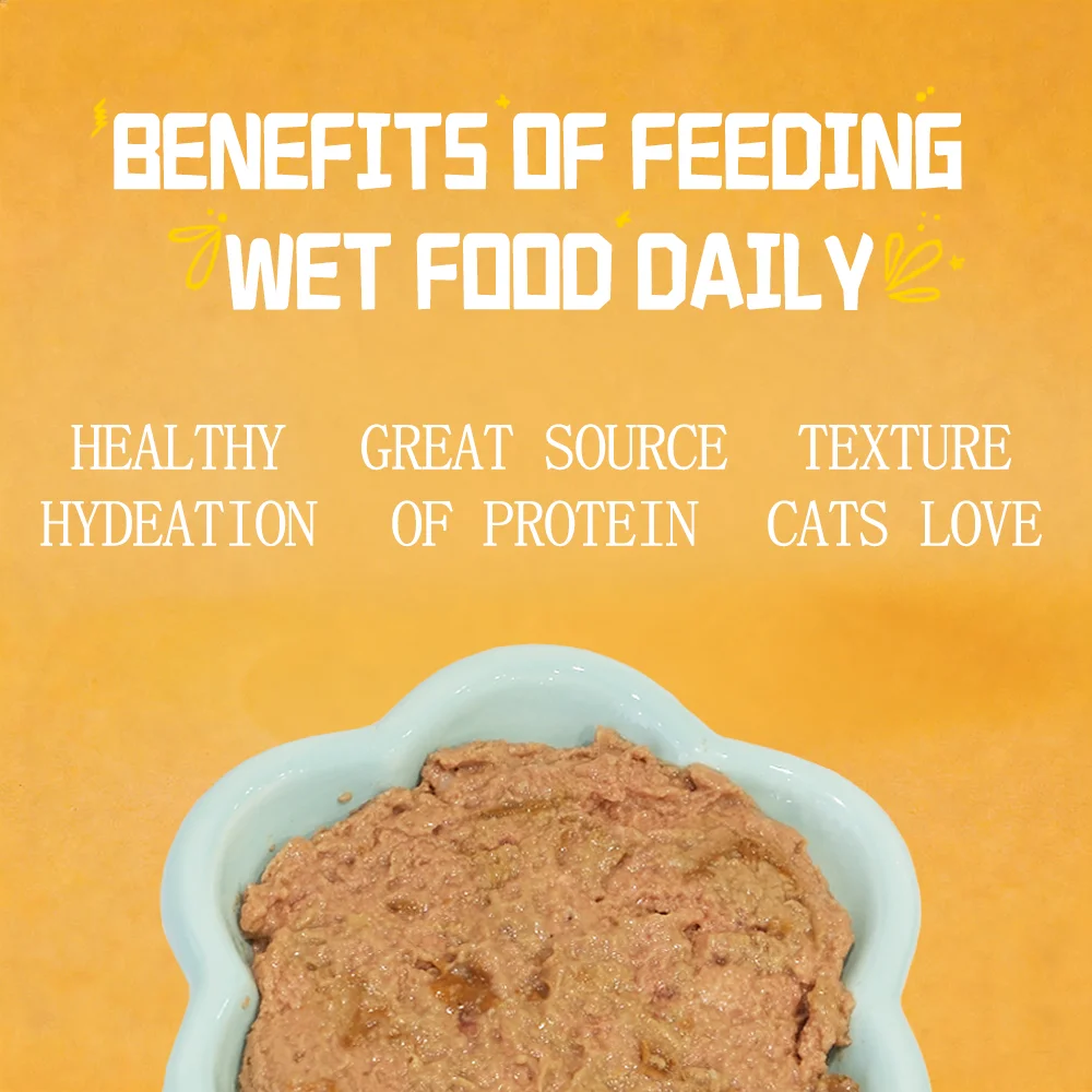 Tuna Beef Salmon Cat Food