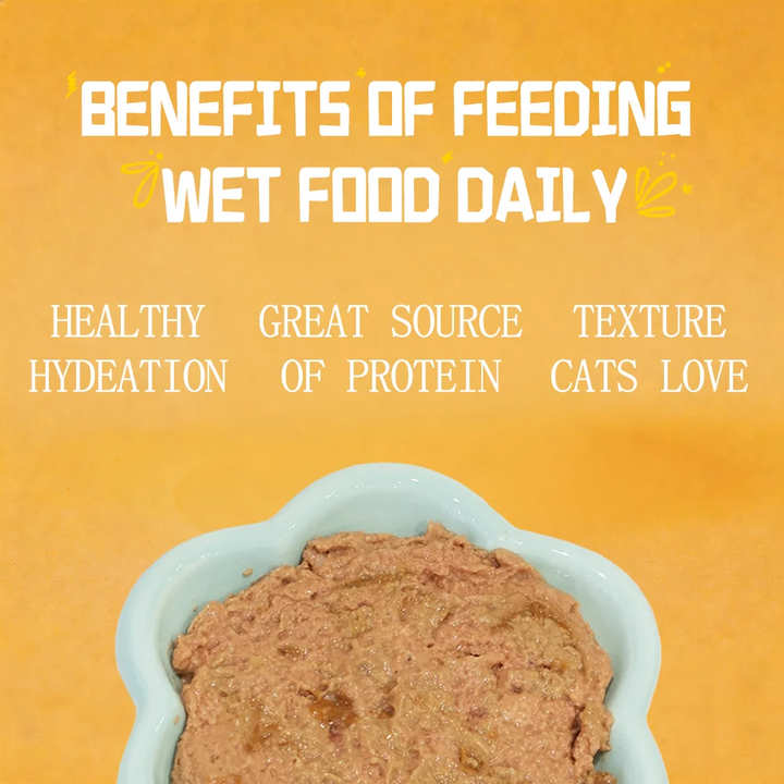Tuna Beef Salmon Cat Food