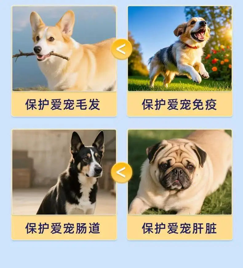 Dog Probiotic Digestive Chews