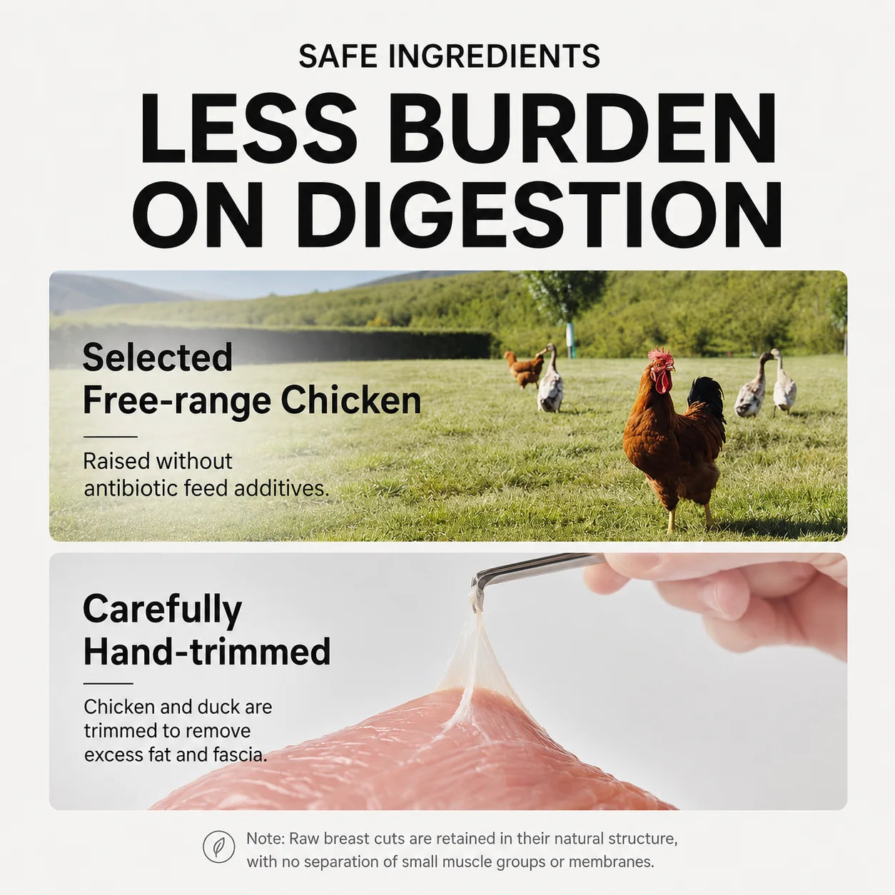 Freeze-Dried Chicken Cat Treats