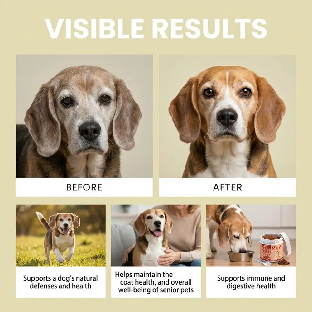 Senior Dog Wellness Supplement